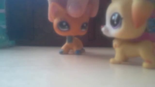 Клип ВОСТОЧНЫЕ СКАЗКИ смотреть онлайн