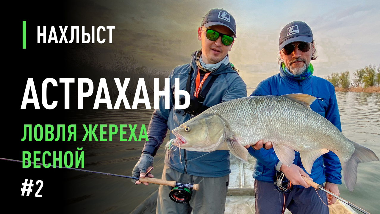 Ловля ЖЕРЕХА и ВОБЛЫ нахлыстом в Астрахани. Компоновка снасти, мушки, как поймать рыбу.