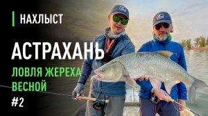 Ловля ЖЕРЕХА и ВОБЛЫ нахлыстом в Астрахани. Компоновка снасти, мушки, как поймать рыбу.