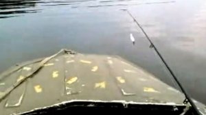 Лодка Романтика с Ветерком8 троллинг