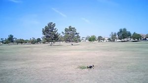 Scorpion S-MAX - трикоптер. Больше чем игрушка