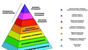 Кто такие левые? Основные принципы левака