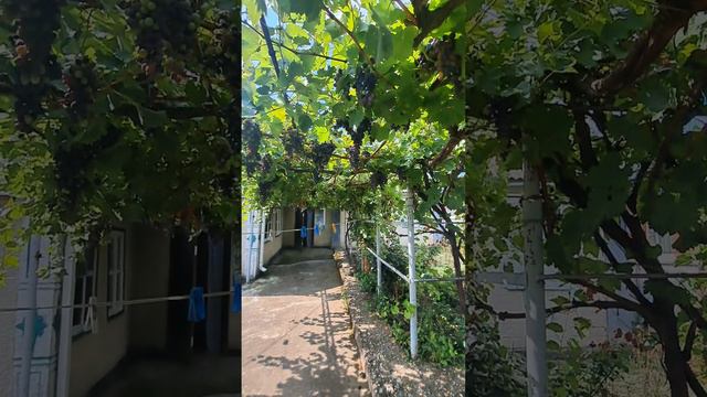 Недвижимость Каневская/  Агентство недвижимости ст Каневская. Переезд на Юг.8-918-2502052