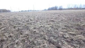 посев многолетних трав.mp4