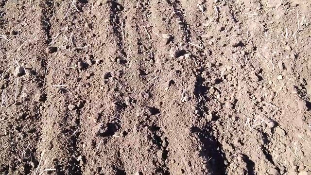 Февральские окна. Сеем канадский яровой ячмень смотреть онлайн