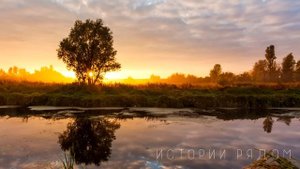 Свекровь выгнала невестку, вернувшуюся из роддома. А спустя время, увидев…
