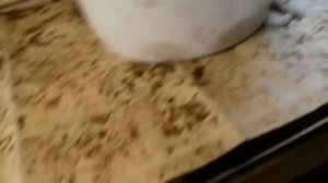 Зимний курятник с выгулом  своими руками  ,или полностью автономный курятник!