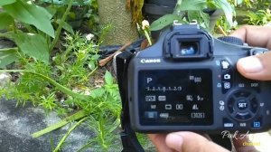 MENGUBAH PICTURE STYLE ( EFEK) KAMERA DSLR CANON 1100D CANON 1300D