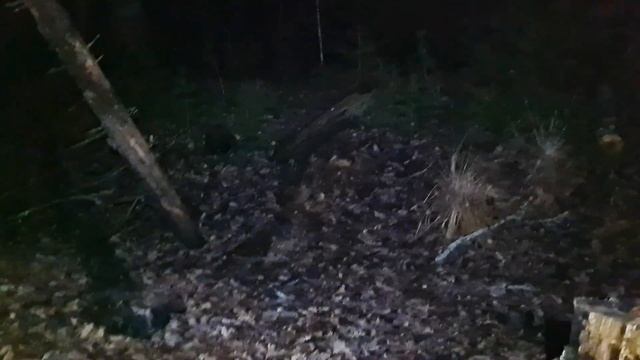 ДЕНЬ НАРОДНОГО ЕДИНСТВА ЧАСТЬ ПЕРВАЯ смотреть онлайн