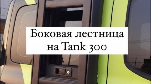 Боковая лестница на Tank 300