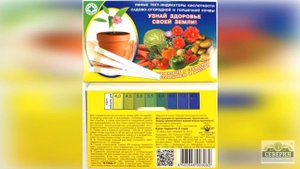 Пионы: когда и как сажать