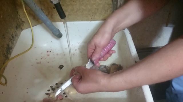 Оксана показывает как правильно разделывать утку смотреть онлайн