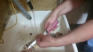 Оксана показывает как правильно разделывать утку