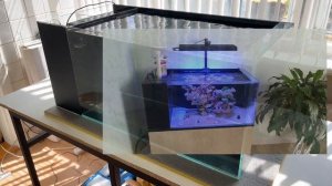 Аквариум с внутренним сампом. Плюсы, минусы. Морской аквариум в Киров.