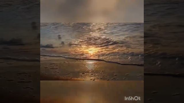 медитация на знакомство с вашим тотемным животным смотреть онлайн