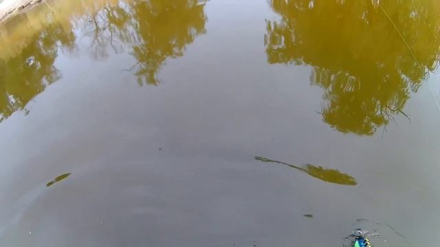 Так это же ЗОЛОТО! ВОТ ТАК НЕОЖИДАННОСТЬ! Всё таки в поиске мне везет больше! Коп с металлоискателе смотреть онлайн