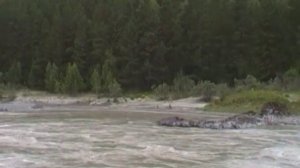 Река Катунь.Горный Алтай.The River Katun.Mountain Altai.