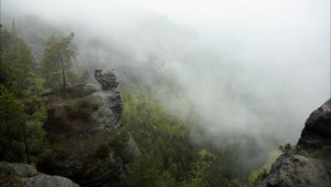 дикая природа германии