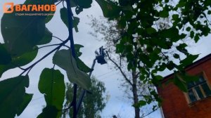 Обрезка аварийных 25-метровых тополей с автовышкой в г. Фурманов