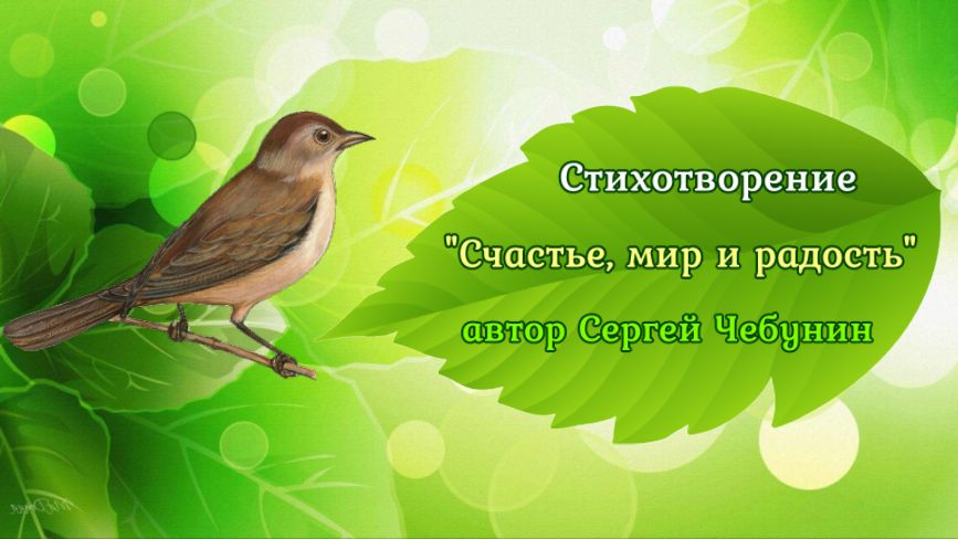008 - Счастье, мир и радость - Сергей Чебунин
