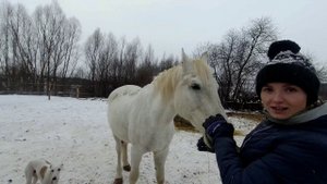 КУПИЛИ ДОМ В ДЕРЕВНЕ. ЧТО У НАС ЗА ЛОШАДИ И КАК ОНИ У НАС ПОЯВИЛИСЬ