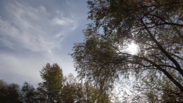 Детям о животных: Голуби смотреть онлайн