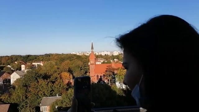 Смотровая площадка в музее котов смотреть онлайн