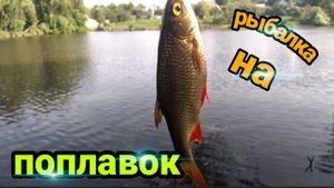 РЫБАЛКА на ПОПЛАВОК | Рыбалка на ДОНКИ | РЫБАЛКА на ПЕРЛОВКУ!!!