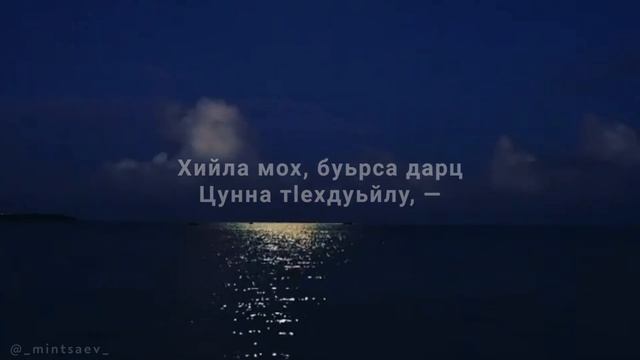 АМАЛ (АРСАНУКАЕВ ШАЙХИ)