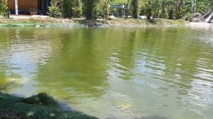 Экскурсия На Северные острова Вьетнам