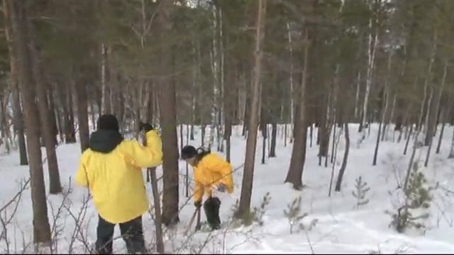 трудовой отряд Главы Красноярска на Столбах