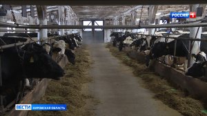 С 1 марта промаркируют всех сельскохозяйственных животных Кировской области