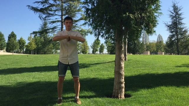 Первое подготовительное упражнение Чжун Юань Цигун для начинающих. смотреть онлайн