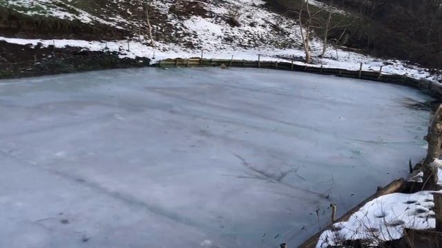 Мой пруд без пленки на дачном участке. Подводим итоги 2019 года. Пруд своими руками.