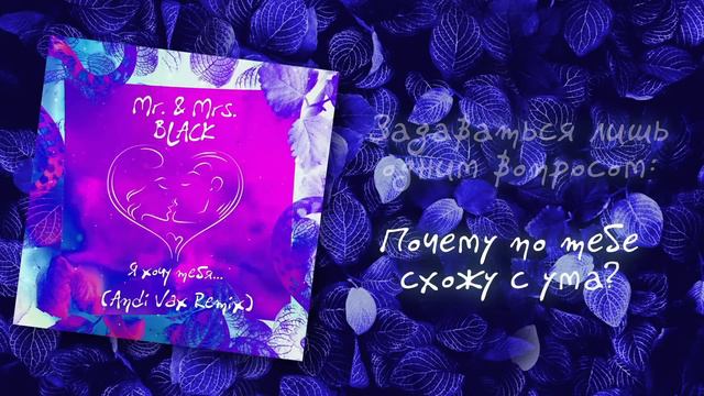 Mr. & Mrs. BLACK - Я Хочу Тебя (Andi Vax Remix) Lyrics смотреть онлайн