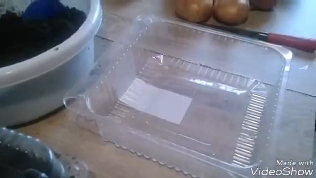 Эксперимент& сеем семена кедра смотреть онлайн