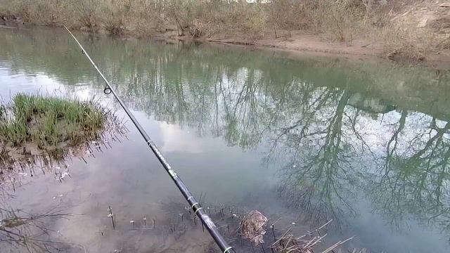 Рыбалка на щуку весной с берега. Рыбачим в Краснодарском крае! Ловим щуку, голавля.