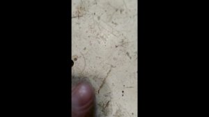 Какой песок пропускает фильтр чулок/Показываем на примере фильтра, который достали из скважины/ПЫЛЬ