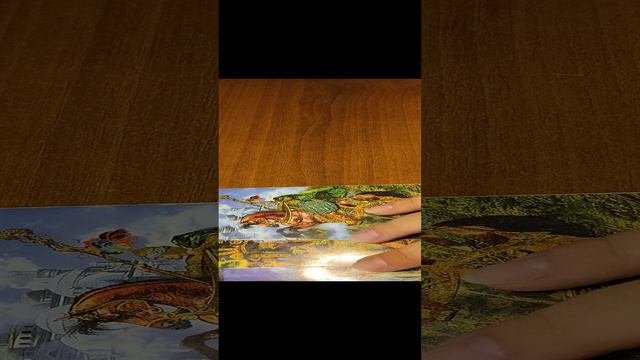 1000126724.mp4