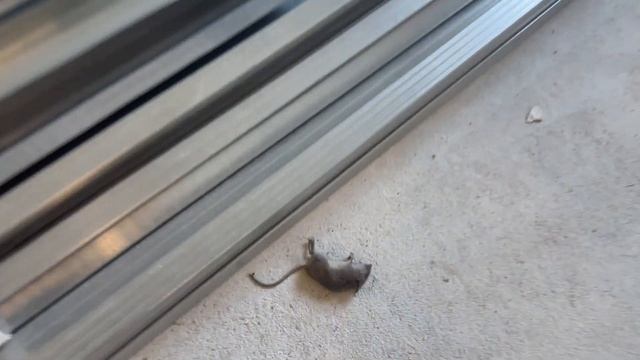 МОНТАЖ СТЕН ИЗ ГИПСОКАРТОНА В ДВА СЛОЯ! Ремонт #13 смотреть онлайн