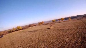 Дарьевский пруд