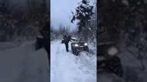 Лебедка Runva 3500 на Стелс Гепард 650