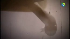 Чудовище черного моря.ЧТО ЭТО??Рассказы очевидцев