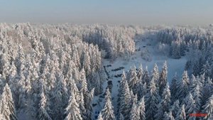 Кавголово