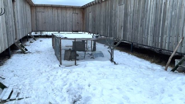 Очень много говорю о планах. смотреть онлайн