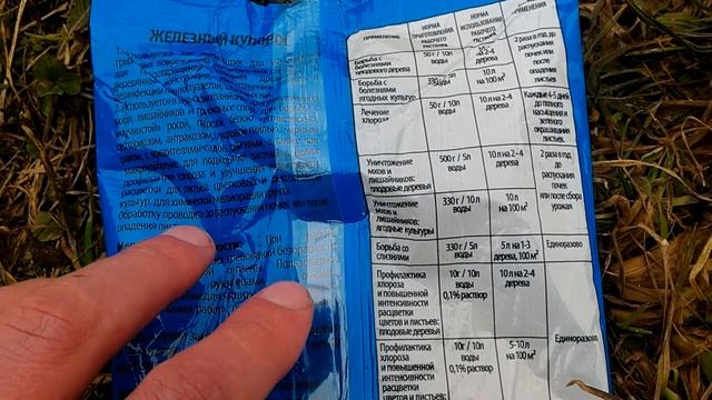 Ginkgo biloba интересное и полезное дерево + минутка о фундуке смотреть онлайн