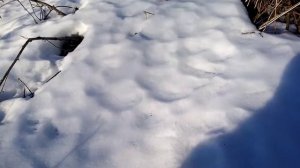 Замок для петли.