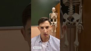 Может ли у курицы появиться цыпленок без петуха?
