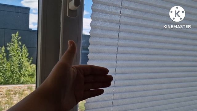 ВЛОГ 6-10 липня. Відповідь: Чому я розмовляю українською мовою