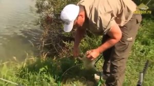 Ловля карпа фидером на платнике